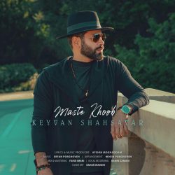 چه مست خوبیم من از بوی تو منو به بند کشیده گیسوی تو