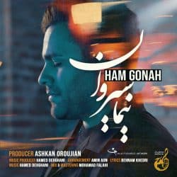 نبض این عشق دست من نیست تو کجایی