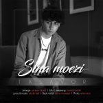 sina-moezi-tasavor