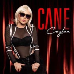 اهنگ ترکی جانه از جیلان {Cane Ceylan MP3}