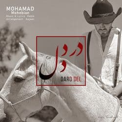 اهنگ با کی درد و دل کنم محمد محبیان