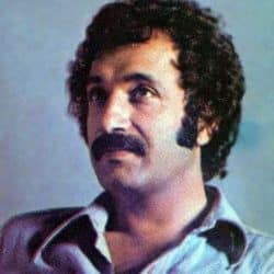 حالا که من در به در شهر توام کو به کو – حسن شماعی زاده