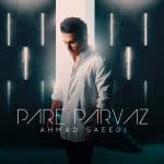 ahmad-saeedi-pare-parvaz