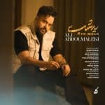 ali-abdolmaleki-ye-shab