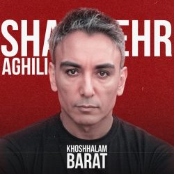 میگن یکی تو زندگیته چی بگم تونسته دیگه – شادمهر عقیلی