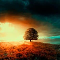 اهنگ عربی شوتی اسما اسما